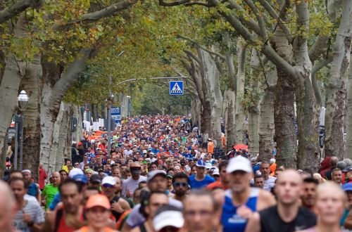 MARATONA DI BERLINO | 42K 2019